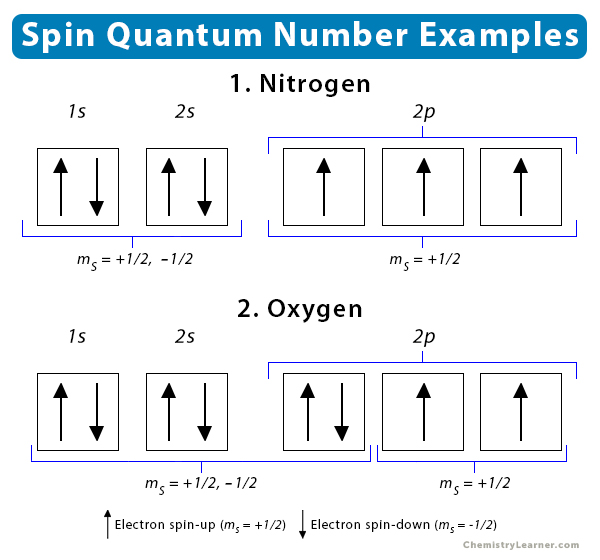 Electron Spin Quantum Number Ms